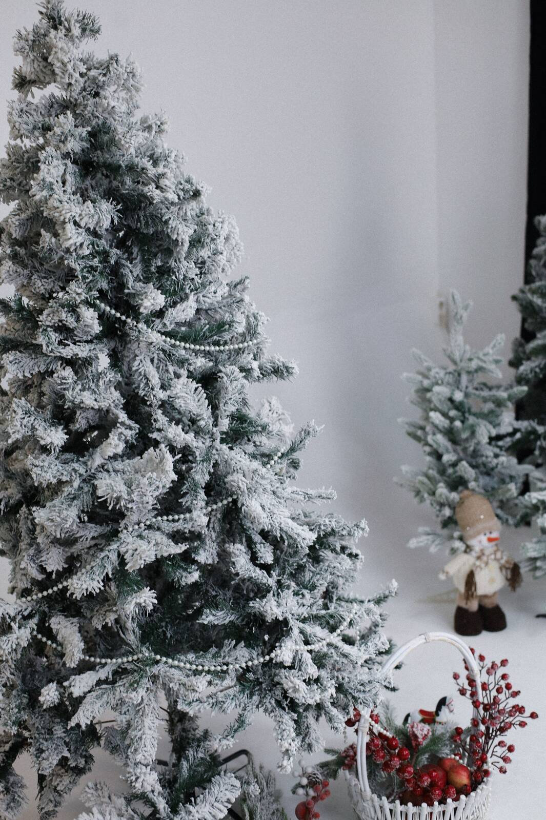 Зимняя сказка - общий вид